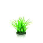 OASE biOrb Grasring Aquaristik - Grün