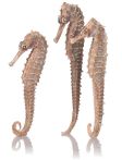OASE biOrb Seepferdchen 3er-Set - Natural