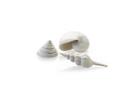 OASE biOrb Muschel Set - Weiß