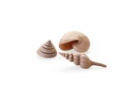 OASE biOrb Muschel Set - Natural