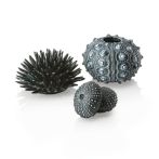 OASE biOrb Seeigel Set - Schwarz