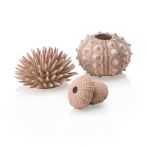 OASE biOrb Seeigel Set - Natural