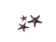 OASE biOrb Seestern Set 3 - Pink