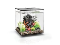 OASE biOrb CUBE MCR 30 LED Aquarium - Schwarz