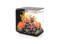 OASE biOrb FLOW 15 LED Aquarium - Schwarz