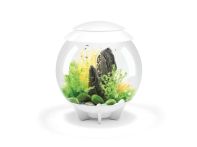 OASE biOrb HALO 30 MCR LED Aquarium - Weiß