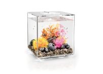 OASE biOrb CUBE MCR 30 LED Aquarium -Transparent