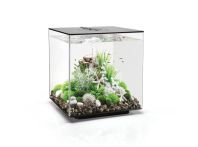 OASE biOrb CUBE MCR 60 LED Aquarium - Schwarz