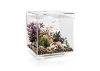 OASE biOrb CUBE MCR 60 LED Aquarium -Transparent