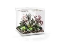 OASE biOrb CUBE MCR 60 LED Aquarium - Weiß