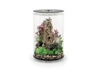 OASE biOrb TUBE 30 LED Aquarium - Schwarz