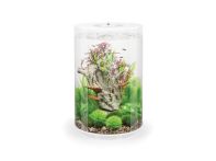 OASE biOrb TUBE 30 LED Aquarium - Weiß