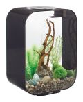 OASE biOrb LIFE LED Aquarium 15 l - Schwarz