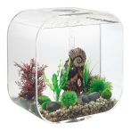 OASE biOrb LIFE 30 MCR LED Aquarium - Transparent