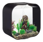 OASE biOrb LIFE 30 MCR LED Aquarium - Schwarz
