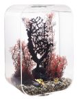 OASE biOrb LIFE 45 MCR LED Aquarium - Transparent