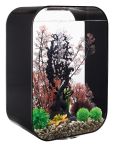 OASE biOrb LIFE 60 MCR LED Aquarium - Schwarz