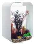 OASE biOrb LIFE 60 MCR LED Aquarium - Weiß