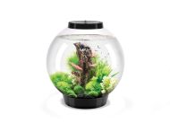 OASE biOrb CLASSIC 30 LED Aquarium - Schwarz