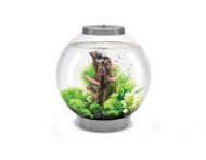 OASE biOrb CLASSIC 30 LED Aquarium - Silber