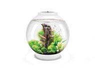 OASE biOrb CLASSIC 30 LED Aquarium - Weiß