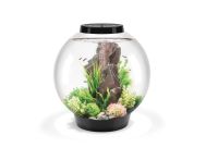 OASE biOrb CLASSIC 60 LED Aquarium - Schwarz