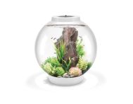 OASE biOrb CLASSIC 60 LED Aquarium - Weiß