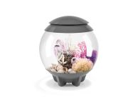 OASE biOrb HALO 15 MCR LED Aquarium - Grau