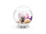 OASE biOrb HALO 15 MCR LED Aquarium - Weiß