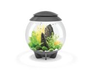 OASE biOrb HALO 30 MCR LED Aquarium - Grau