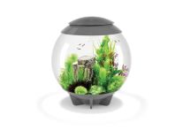 OASE biOrb HALO 60 MCR LED Aquarium - Grau