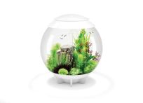 OASE biOrb HALO 60 MCR LED Aquarium - Weiß