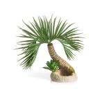 OASE biOrb Palme Seychellen