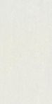 RAK Ceramics Feinsteinzeug 30 x 60 cm GEMS cold lightgrey matt
