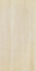 RAK Ceramics Feinsteinzeug 30 x 60 cm DOLOMITE beige