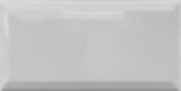 T-Trading Wandfliese 10 x 20 cm  1020GG grau glänzend