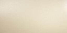 T-Trading Feinsteinzeug 30 x 60 cm PASCAL beige 6152 glasiert, eingefärbt