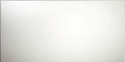 T-Trading Wandfliese 30 x 60 cm weiß matt JNC6000 nicht rektifiziert