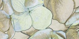 V&B Dekor 60x120 cm ROCKY ART limelight (R10) - 2730 CB65