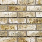 Terca Vormauerziegel VMz 20-1,8-WDF Con Mosso grau bunt gesintert