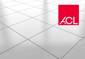 ACL Ceramics