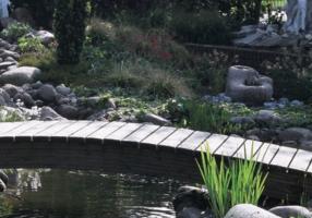 Pontec Teichbau
