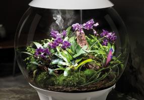 OASE biOrb Terrarien - AIR