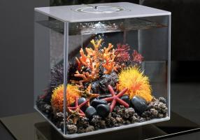 OASE biOrb Aquarien - WATER